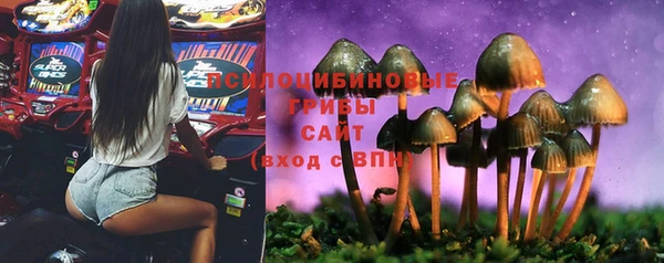 дмт Гусь-Хрустальный