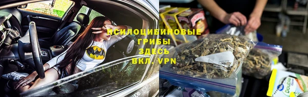 эйфоретик Гусиноозёрск