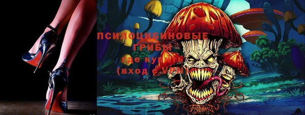 дмт Гусь-Хрустальный