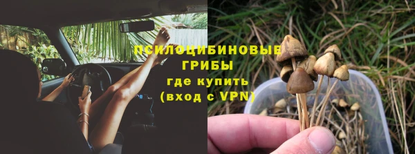 дмт Гусь-Хрустальный